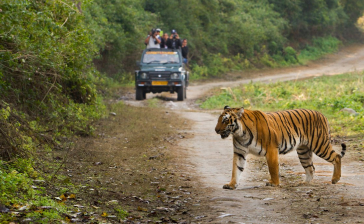 Jim Corbett Wildlife Tour 5 Days