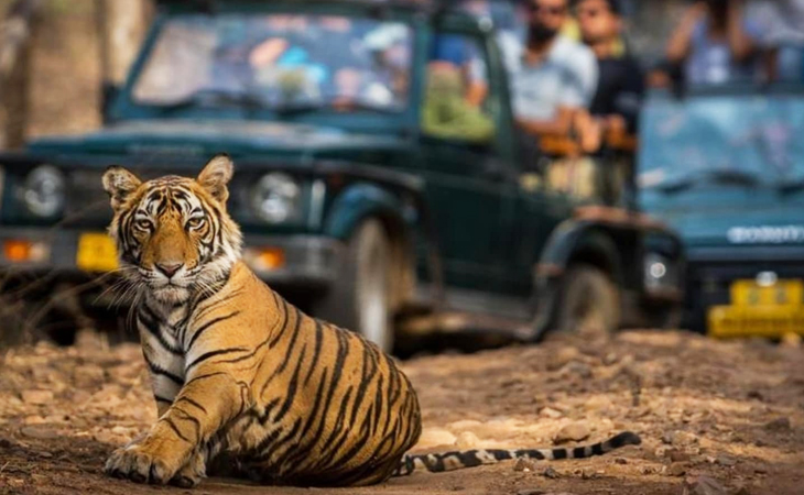 Jim Corbett Wildlife Tour 5 Days