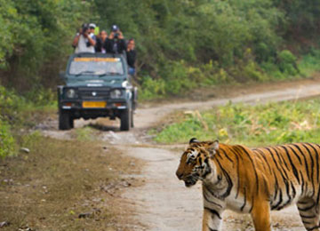 5 Days Jim Corbett Wildlife Tour