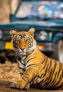 Jim Corbett